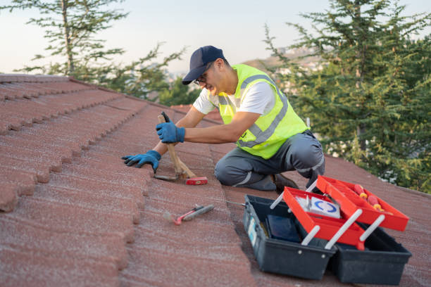 Best Roof Leak Repair  in Morris, MN